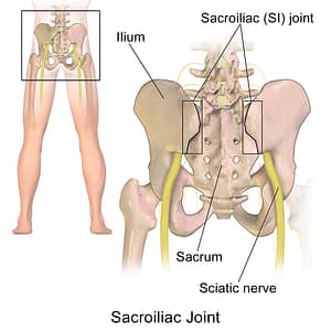 Sacroiliac Joint. illustration of sacroiliac joint